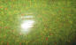 Preview: Faller 180750 Geländematte Blumenwiese 100 x 75 cm