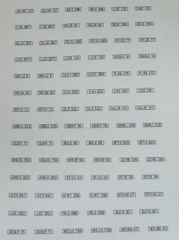 Decalsatz KFZ-Kennzeichen Bundesrepublik Deutschland Sachsen + Sachsen-Anhalt + Thüringen 1:87 Spur H0