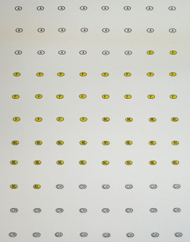 Decalsatz KFZ-Nationalitätenkennzeichen Österreich, Frankreich, Niederlande und Schweiz 1:87 Spur H0