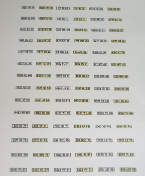 Decalsatz KFZ-Kennzeichen Frankreich 1:87 Spur H0