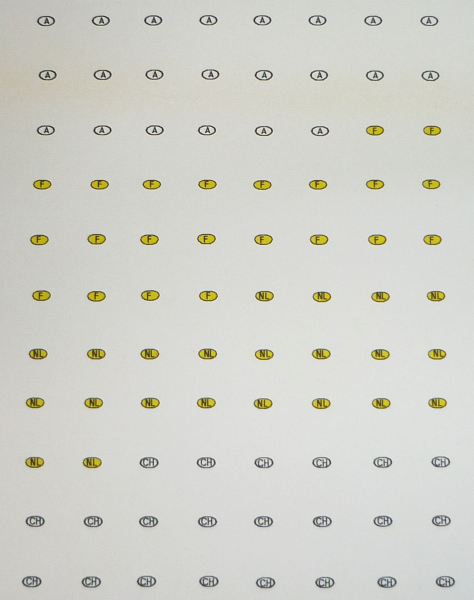 Decalsatz KFZ-Nationalitätenkennzeichen Österreich, Frankreich, Niederlande und Schweiz 1:87 Spur H0