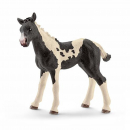 Schleich 13803 Pinto Fohlen
